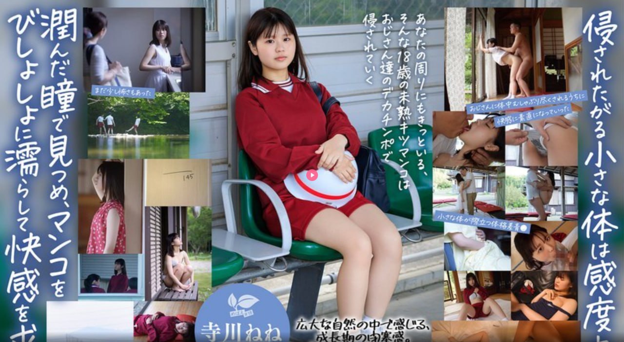 白嫩小脚老师玉足足H交-高清喂奶小说メイリン モデル...